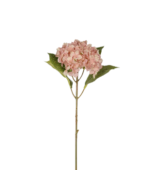 Hortensia rosa 40 cm