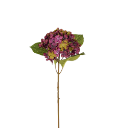 Hortensia lila 40 cm
