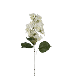 Syrénhortensia vit 80 cm
