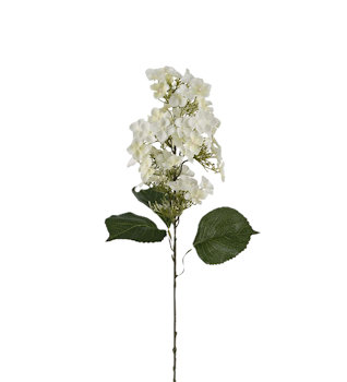 Syrénhortensia vit 80 cm