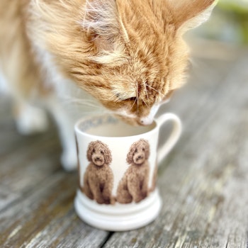 Mugg Emma Bridgewater Cockapoo 2:a sortering