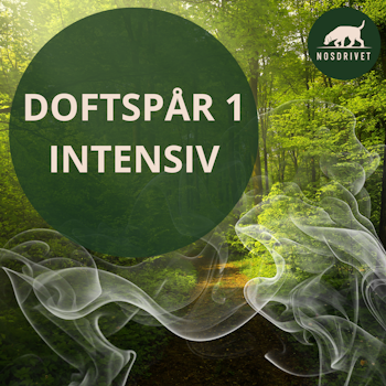 Doftspår 1 - Lomma INTENSIV 28/12 och 29/12