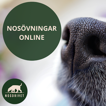 Nosövningar - ONLINE
