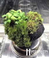 Hygrolon® - Wabi Kusa