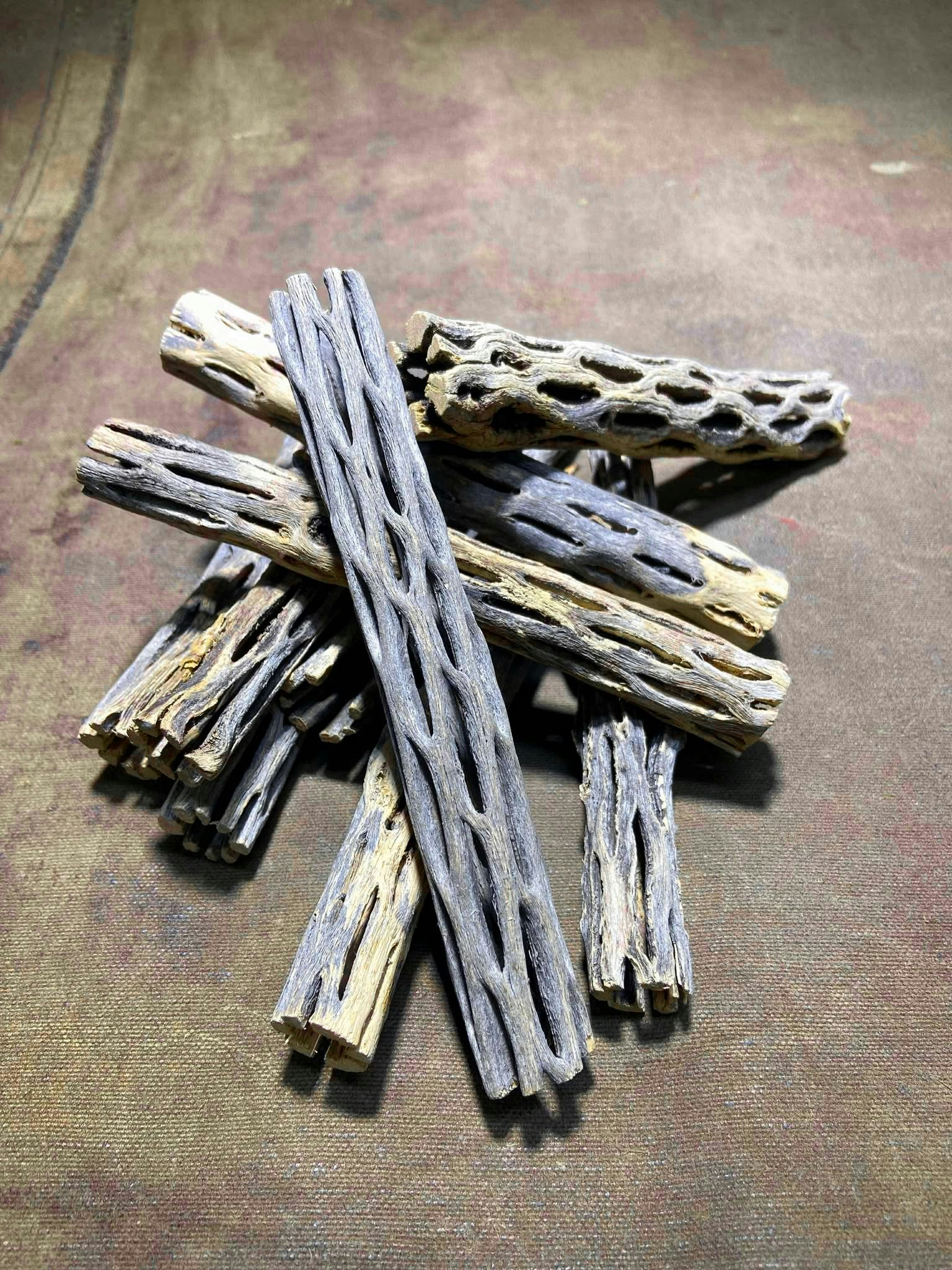 Cholla trä / Cholla wood