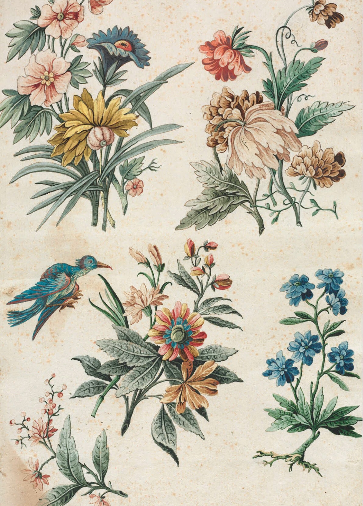 Dubbelt kort med kuvert - Antika blomster (Fraktfritt)