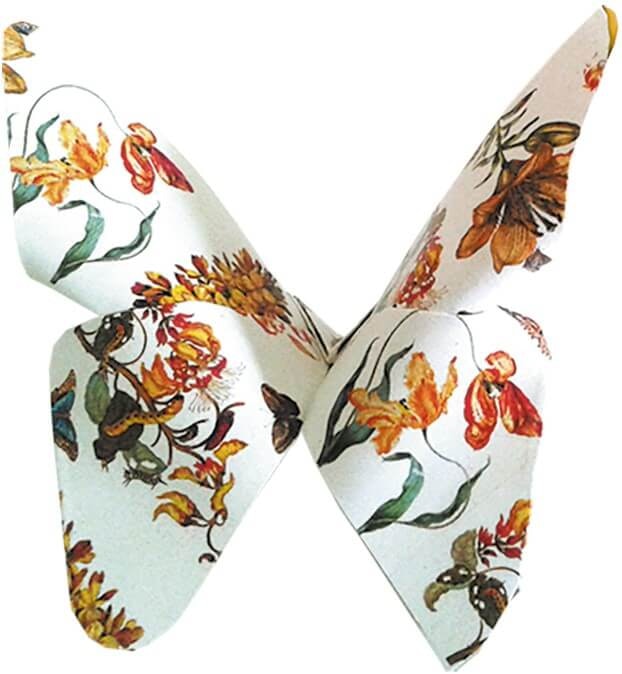 Origami - Maria Sibylla Merian, Fjärilar