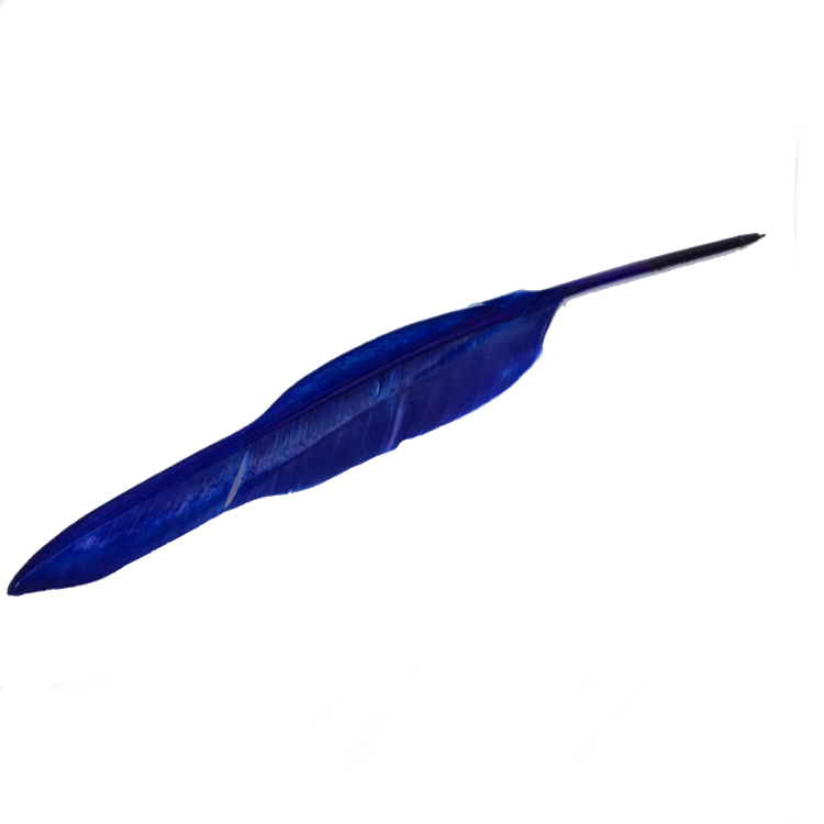 Fjäderpenna - blå