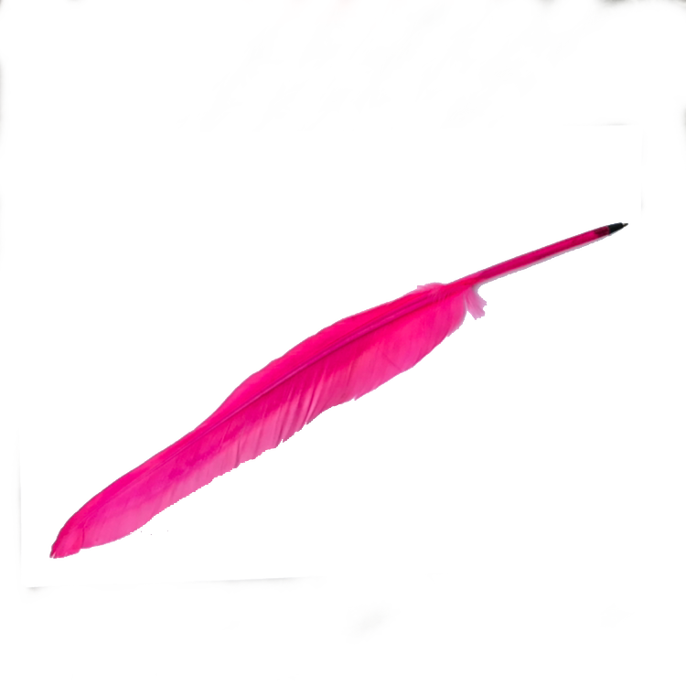 Fjäderpenna - rosa