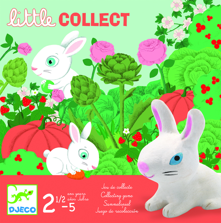 Little Collect Game By Djeco 