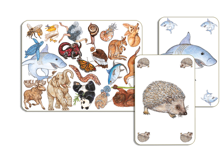 Zanimatch - Spelet där du ska vara först med att hitta djur på kortet