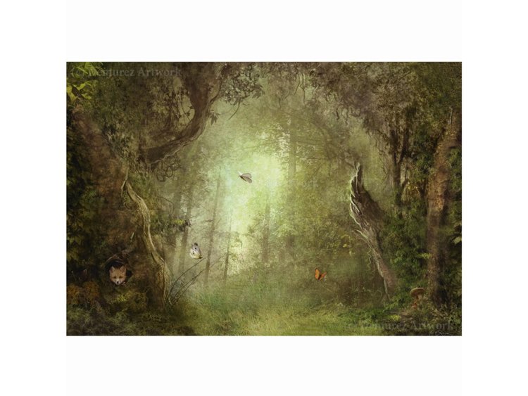 Vackert Kort- Den magiska skogen