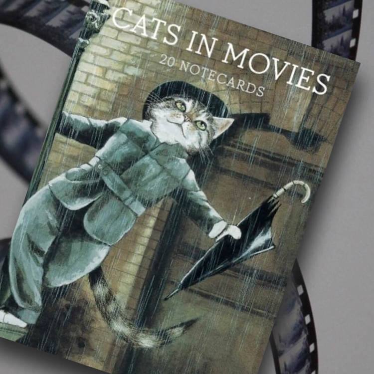 Vackra kort med kuvert - Katter som filmstjärnor