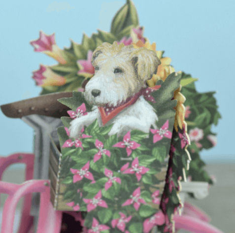 Magiska gratulationskort - Blomstervagnen (Fraktfritt)