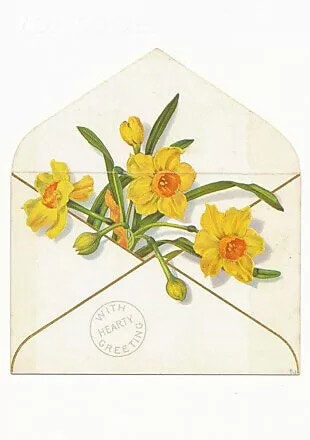 Enkelt kort - Påskliljor i ett kuvert (Fraktfritt)