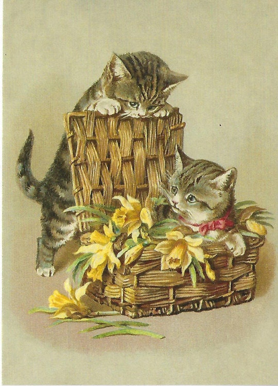 Enkelt lyxigt kort - Katter och påskliljor (Fraktfritt)