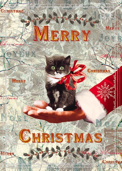 Julkort med kuvert - God Jul med kattunge (Fraktfritt)