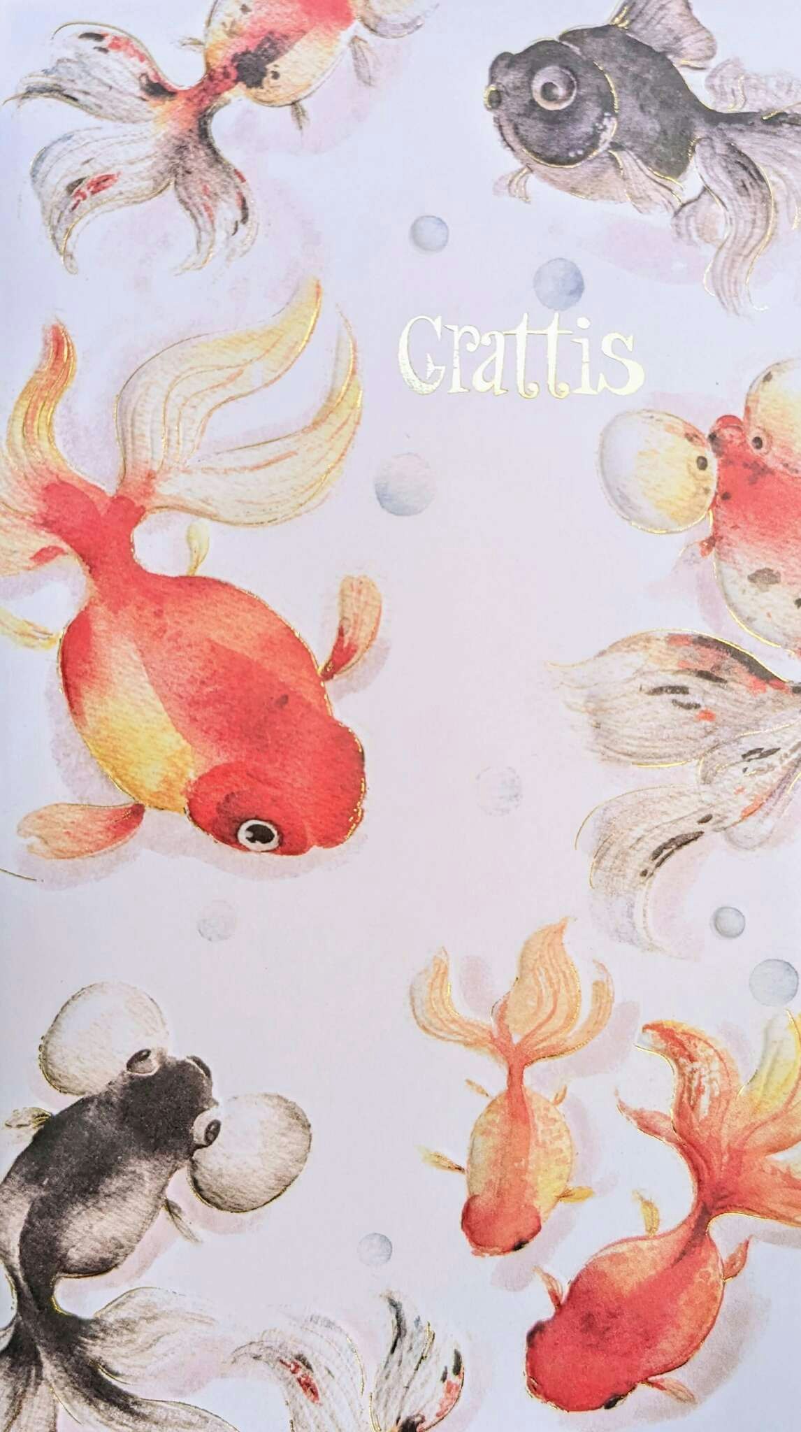 Kort med kuvert - Grattis från guldfiskarna (Fraktfritt)