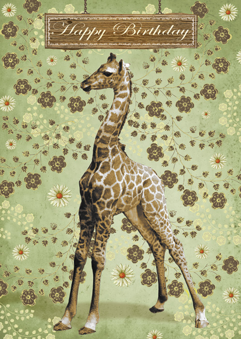 Kort med kuvert - Giraffgrattis (Fraktfritt)