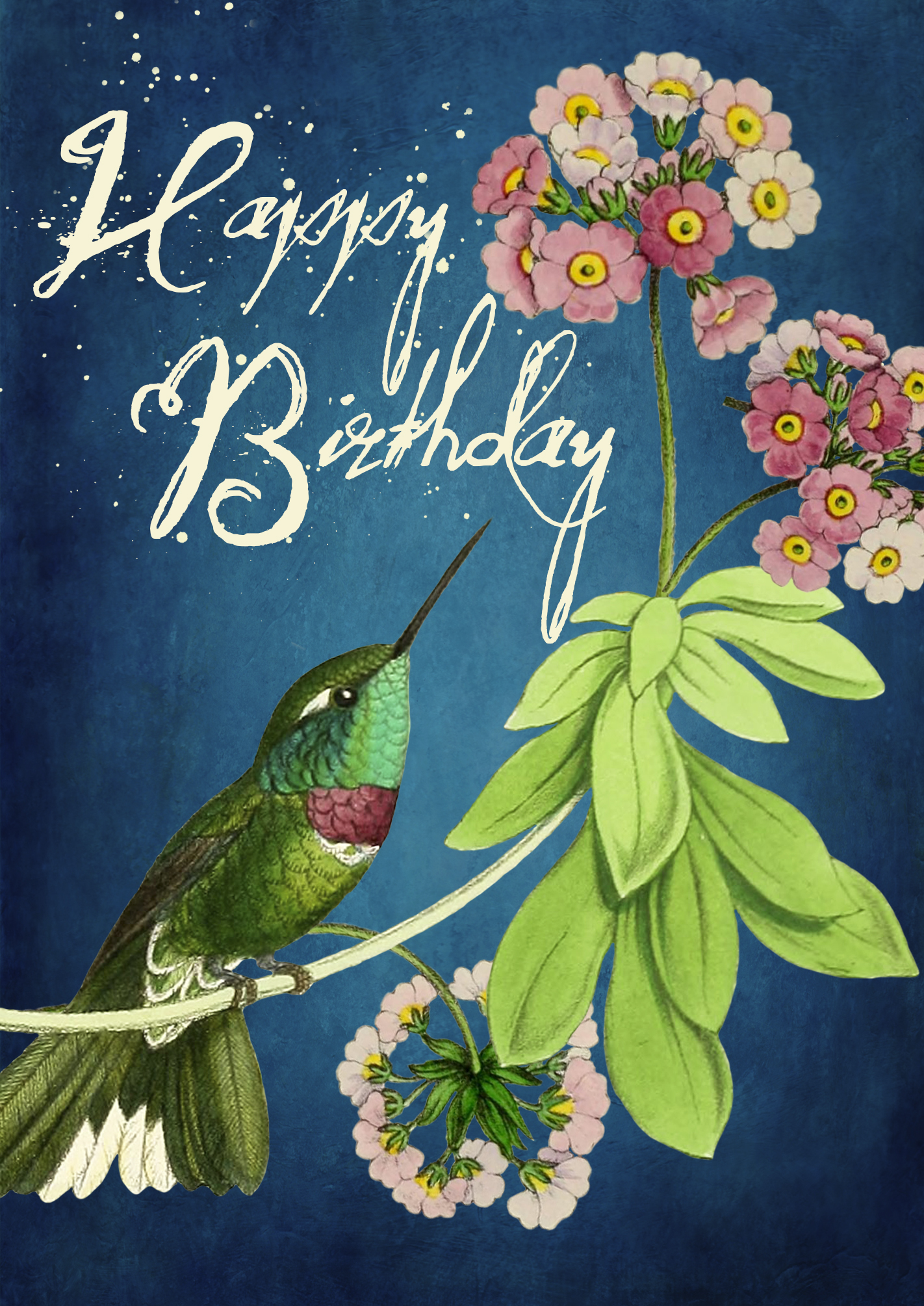 Dubbelt kort med kuvert - Kolibrins födelsedag (Fraktfritt)