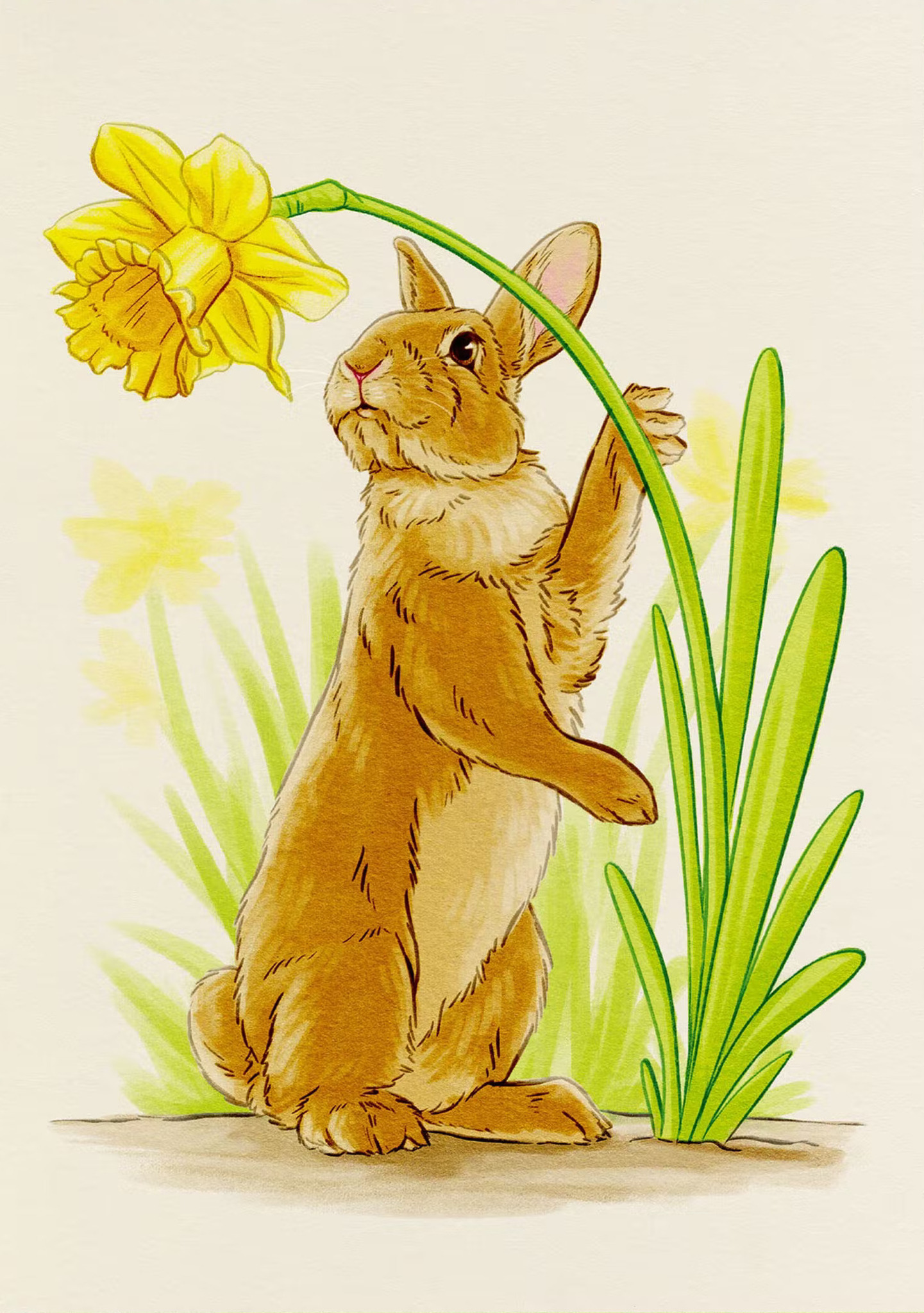Påskkort - Enkelt Kort - Kaninen och påskliljan (Fraktfritt)