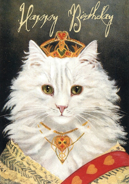Kort med kuvert - Vackra kattens födelsedagshälsning (Fraktfritt)