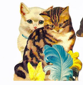 Utvikbart kort med katter - Fjädrar (Fraktfritt)