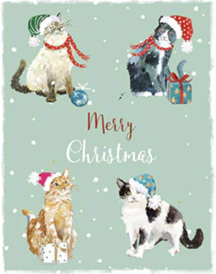 Förpackning med flera julkort med kuvert - Julkatter