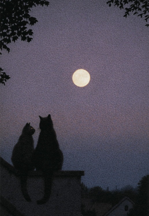 Enkelt Kort - Två katter i månskenet (Fraktfritt)
