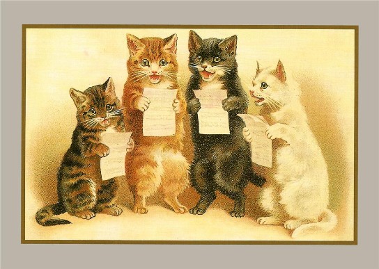 Dubbelt kort med kuvert - Kattkören (Fraktfritt)