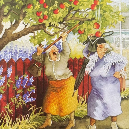Lyckliga damer - Palla äpplen - Vykort (Fraktfritt)