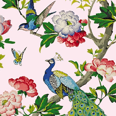 Kort med kuvert - Orientaliska fåglar (Fraktfritt)