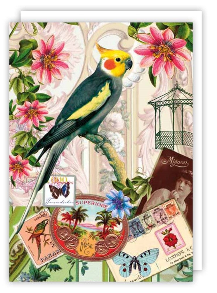 Kort med kuvert - Papegoja med glitter (Fraktfritt)