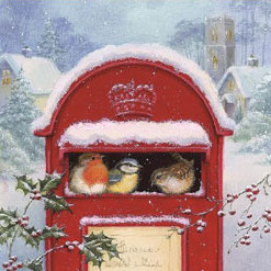 Julservetter - Fåglar i brevlådan