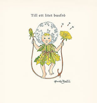 Dubbelt kort med kuvert - Ett litet busfrö (Fraktfritt)