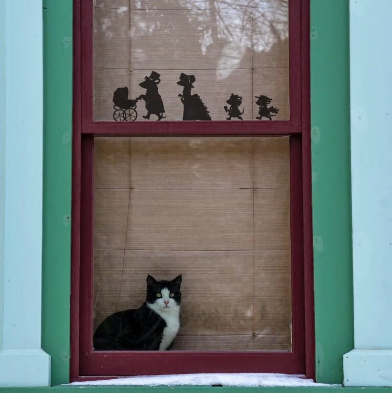 Väggdekoration - Viktorianska mössfamiljen