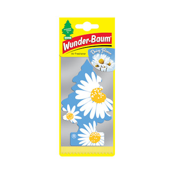 Wunderbaum - Daisy flower