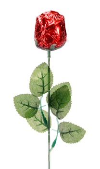 Ros i choklad