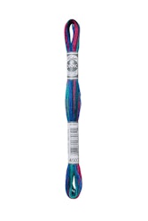 DMC Coloris 4507