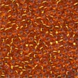 Seed Beads 02034 Autumn Flame