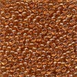 Seed Beads 02041 Maple