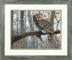 Dimensions - Wise Owl
