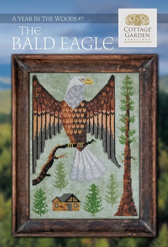 The Bald Eagle (7/12) - A Year In The Woods