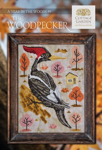 The Woodpecker (9/12) - A Year In The Woods
