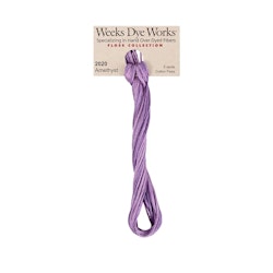 WDW 2020 Amethyst
