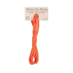 WDW 2235 Blaze