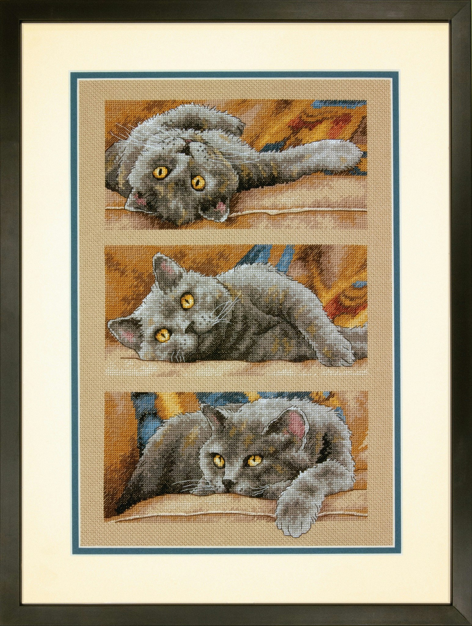 Dimensions - Max The Cat