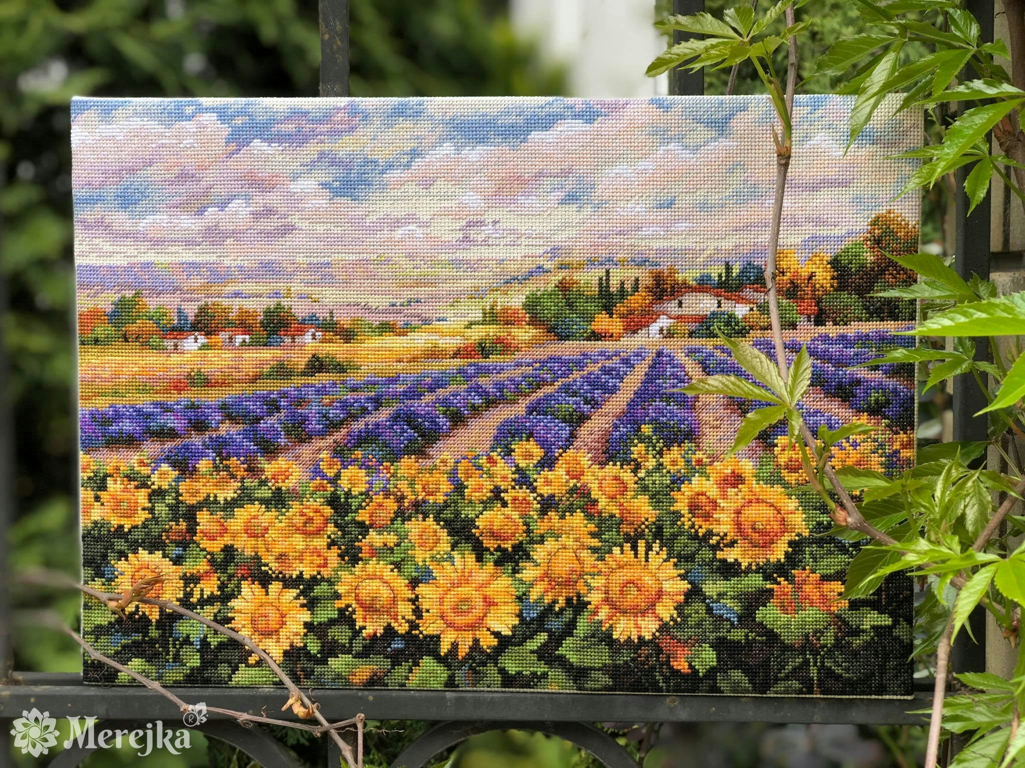 Merejka - Fields of Lavender & Sun