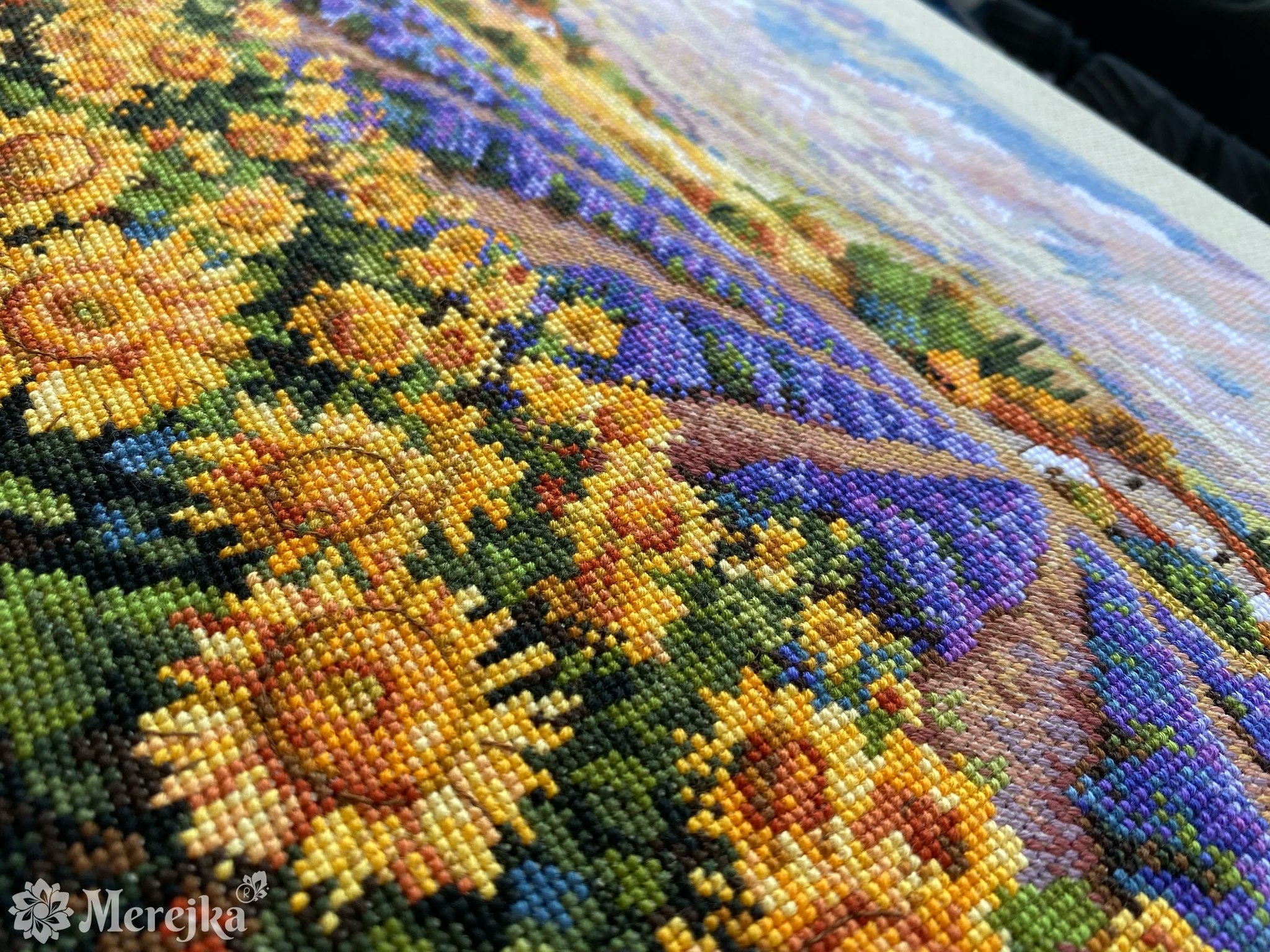 Merejka - Fields of Lavender & Sun
