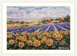 Merejka - Fields of Lavender & Sun